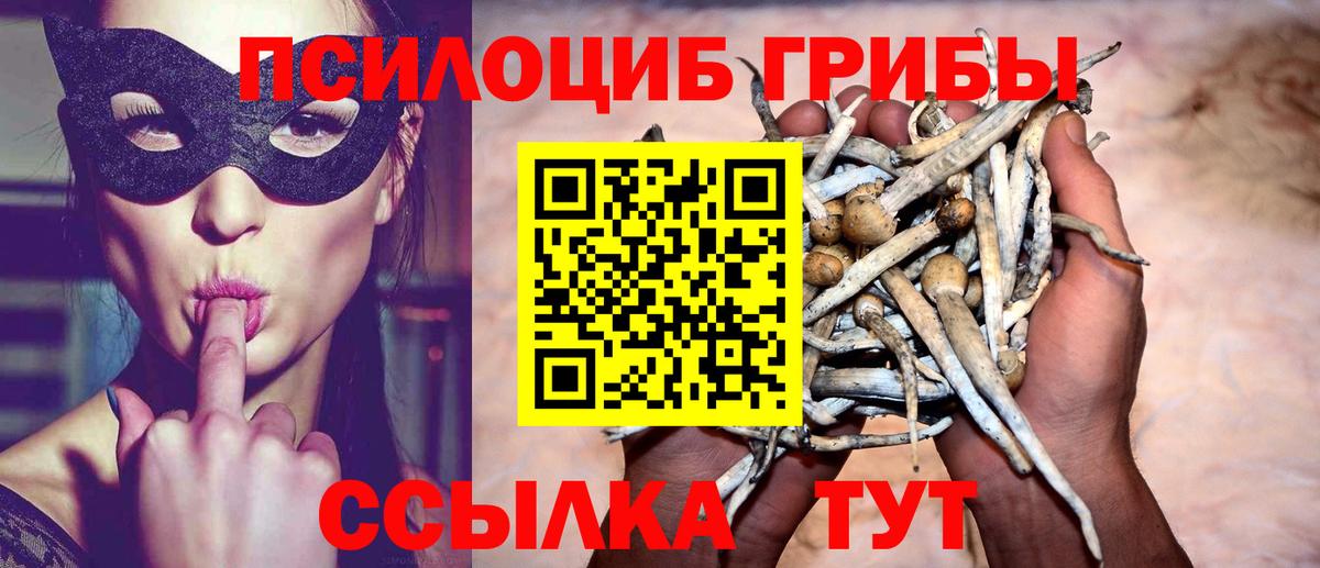 Ачинск  Галлюциногенные грибы мухоморы  Вход с VPN 