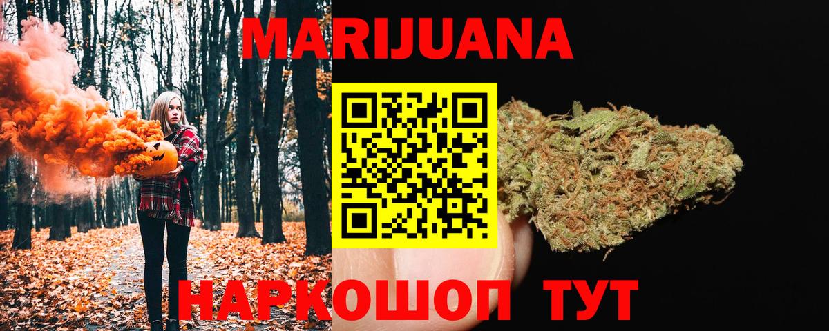 Конопля сатива Ачинск